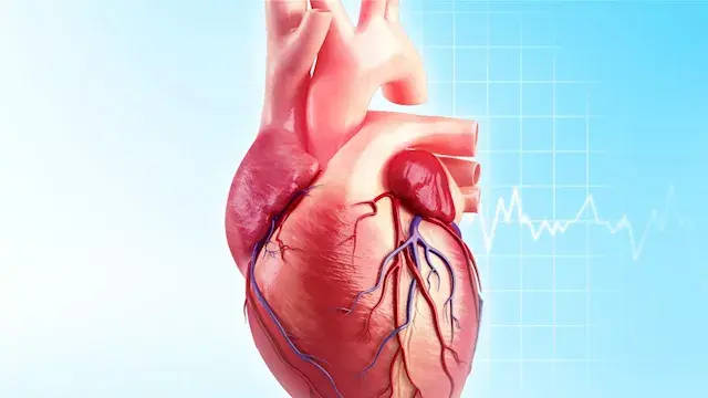 هل الإرهاق البسيط علامة على مش...
