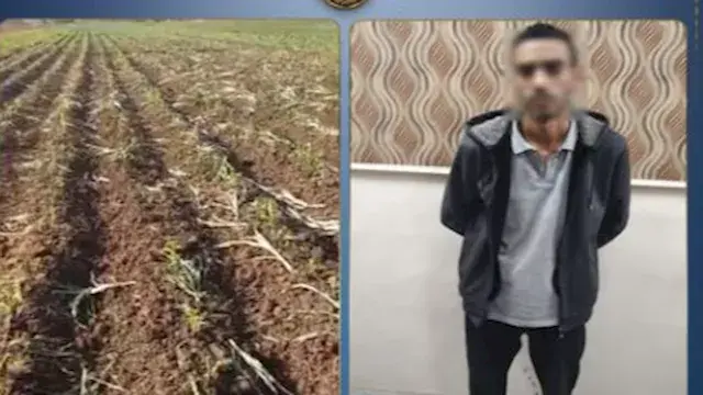 خلاف على فسخ عقد إيجار ينتهي ب...