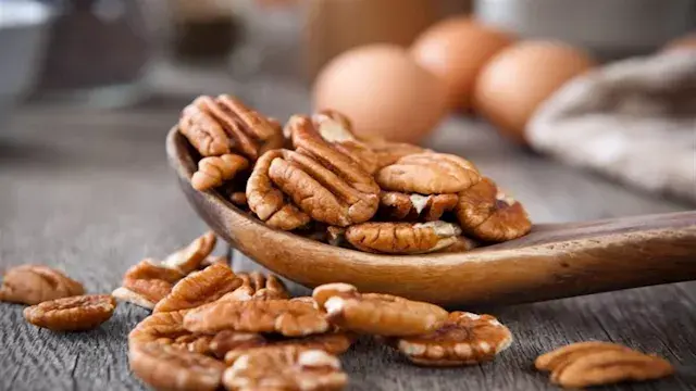 9 أسباب تجعل عين الجمل من أهم...