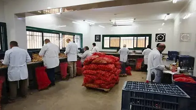 الزراعة: تحليل أكثر من 25 ألف...