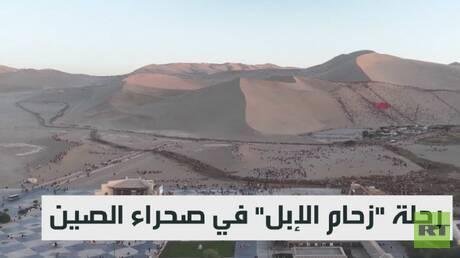 رحلة "زحام الإبل" في صحراء الصين