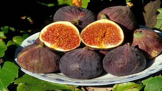 ماذا يحدث لجسمك عند تناول التي...