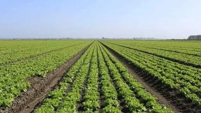 تحذير للمزارعين من "معلومات المناخ".. "أبيب أبو اللهاليب" يقترب