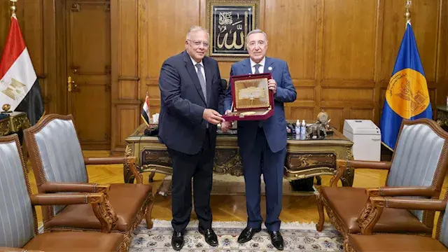 "الدستورية" و"قومي حقوق الإنسان" يبحثان حماية الحقوق والحريات