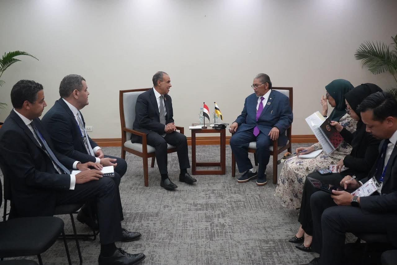 وزير الخارجية أهمية تفعيل الأط...
