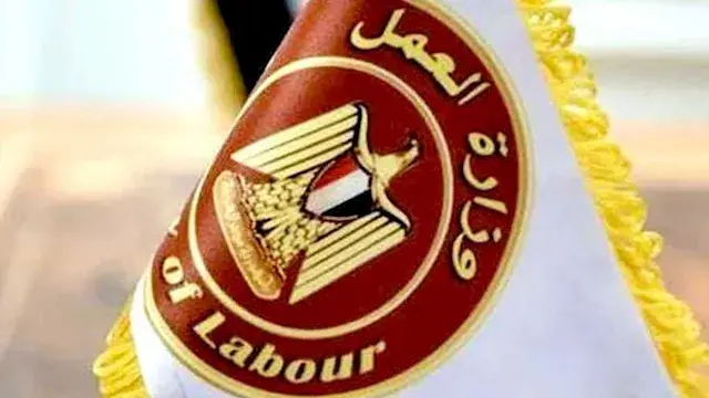 منصة مصر الرقمية.. خطوات استخر...