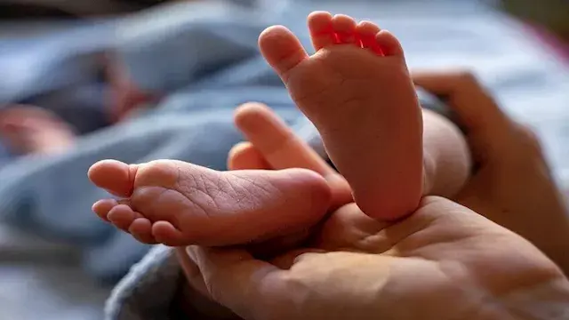 الصحة: تراجع المواليد إلى أقل...