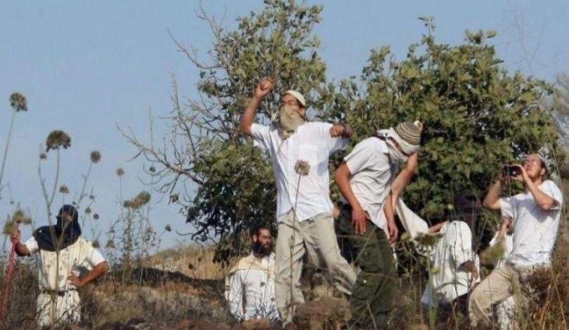 الضفة.. مستوطنون إسرائيليون يص...