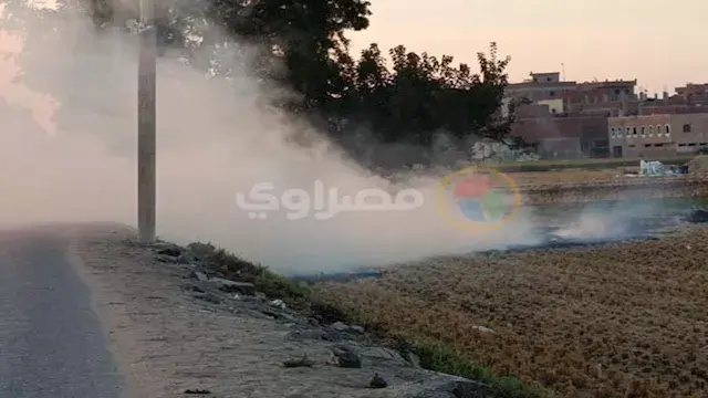 التنمية المحلية والبيئة: جمع 2...