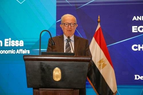 نائب رئيس مجلس الوزراء للشئون...