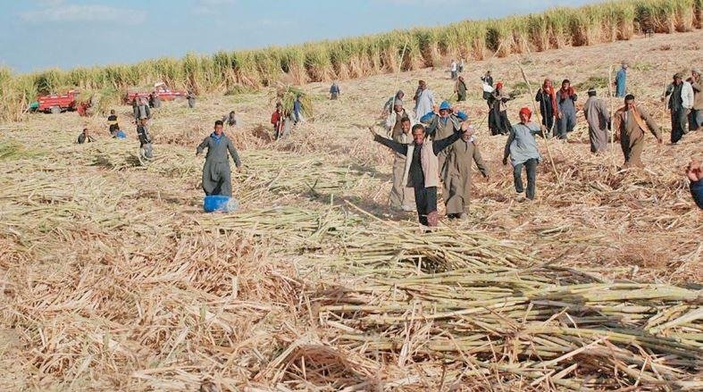 مصادر: 4 مليارات جنيه متأخرات...