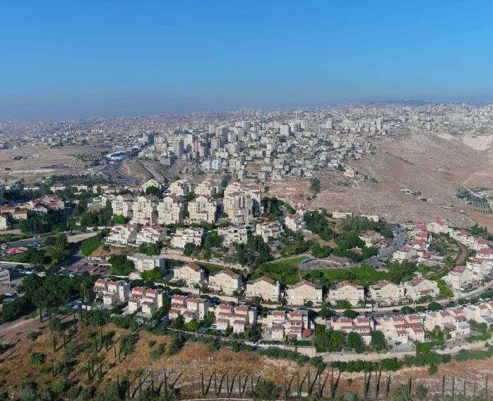 مصر ترحب بقرار بلجيكا حظر استي...