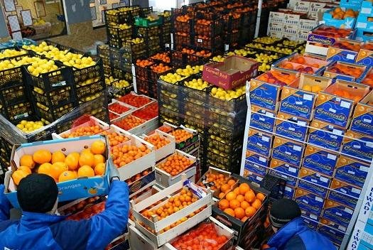 مصر تستورد 400 ألف طن مواد غذا...
