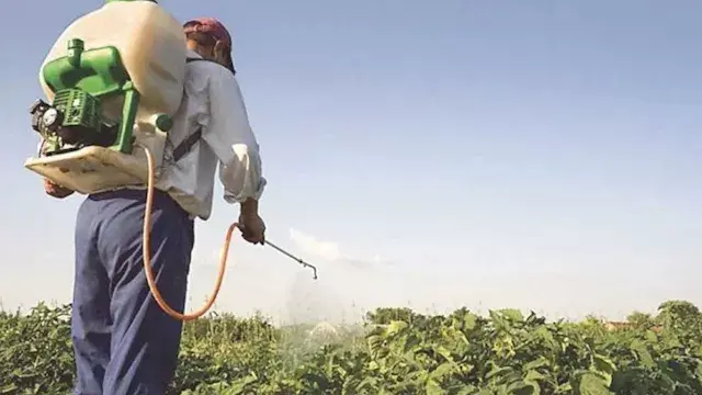 الزراعة: 1919 إجراءً تنظيميًا لمبيدات الآفات خلال أبريل.. وتوسع في دعم التصنيع المحلي