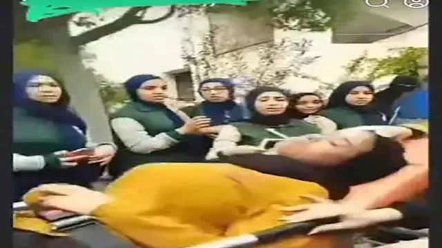 فصل طالبتين بمدرسة في الإسكندرية بعد الاعتداء على زميلتهما بآلة حادة- صور