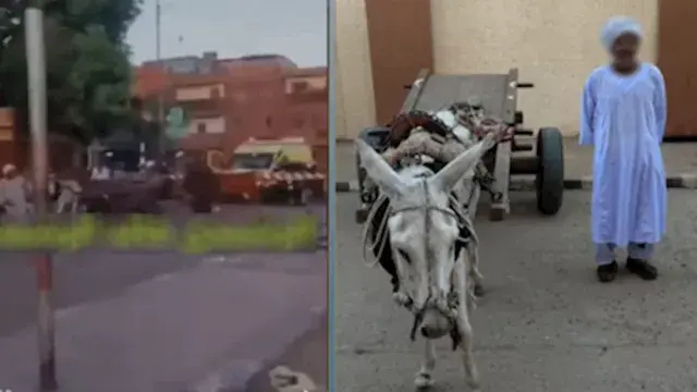 ضبط مزارع عطل حركة القطارات بسبب حمار في أسوان
