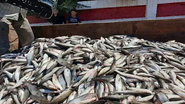 مسؤول بالزراعة يكشف أسباب النف...