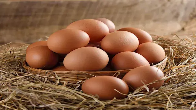 تناول البيض صباحا على معدة فار...