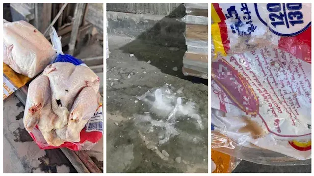 ضبط 6 أطنان دواجن غير صالحة ظا...