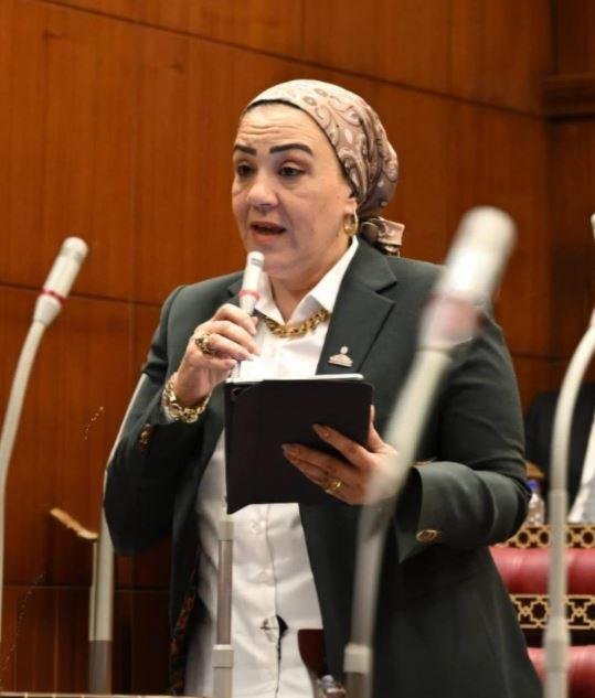 النائبة داليا الأتربي: قانون إ...