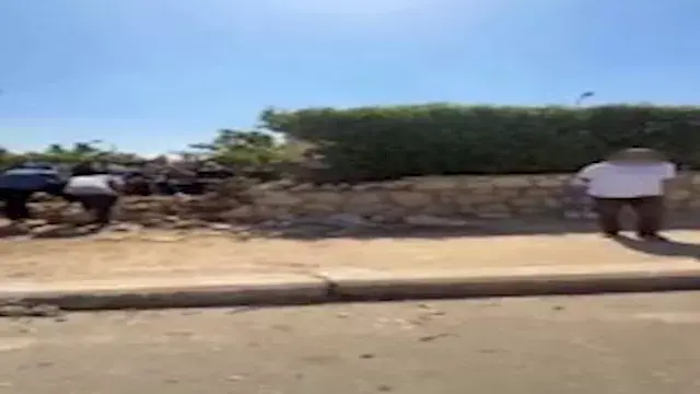 "بوابة جديدة السبب".. الداخلية...