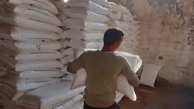 زراعة سوهاج تستعد لموسم صرف الأسمدة الصيفية وتكثف الرقابة على التوزيع