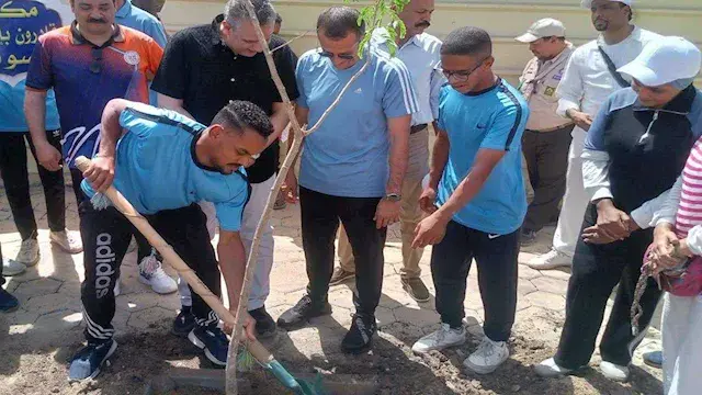 "أسوان بشبابها أجمل".. زراعة 3...