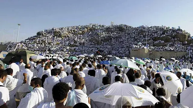 "السياحة" تعلن ضوابط سداد جدية...
