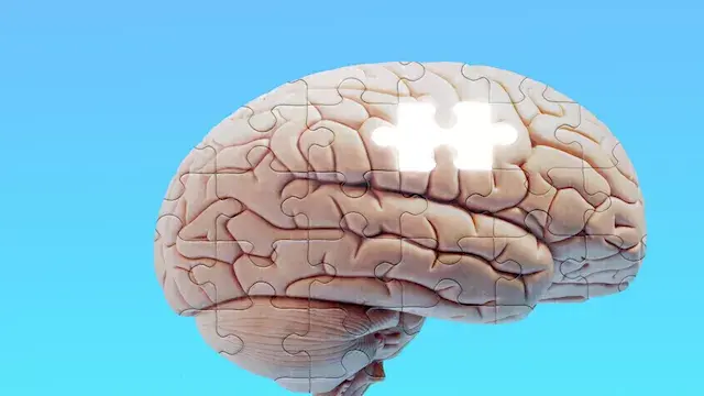 لماذا ننسى بعض الذكريات بسهولة...