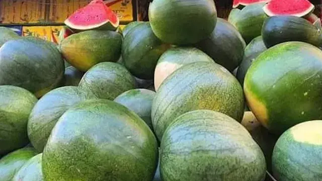 البطيخ المصري آمن.. متحدث "الز...