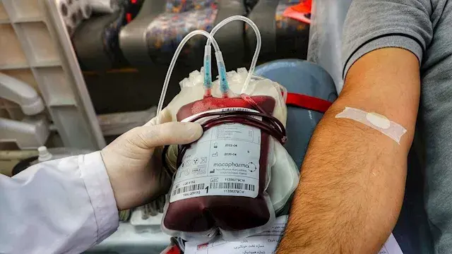 مصر تدخل موسوعة جينيس بأكبر حم...