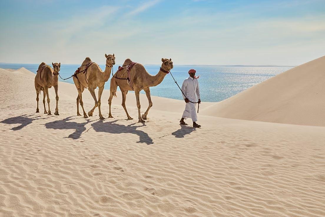 الأرصاد الجوية تحذر من رياح قو...
