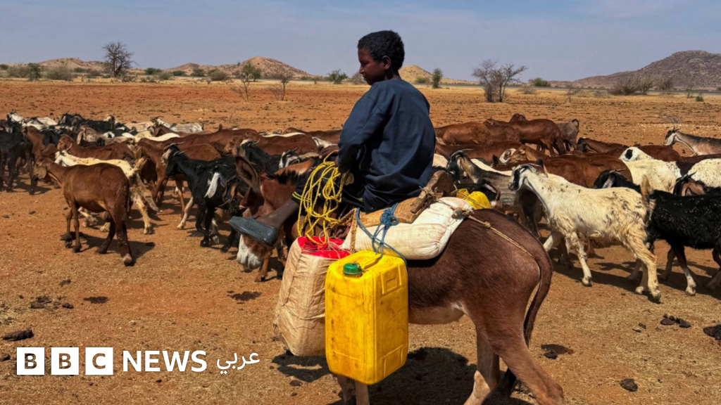الجيش السوداني يعلن إسقاط مسيّرة "انطلقت من إثيوبيا" وقواته تحقق تقدماً في شمال كردفان