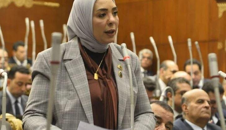 النائبة وفاء رشاد: تطالب بضرور...