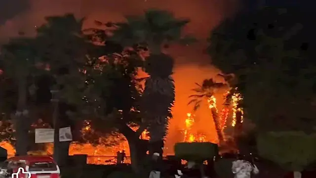 اندلاع حريق في أشجار كورنيش حل...