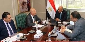 وزير الكهرباء يبحث مع مجموعة إ...
