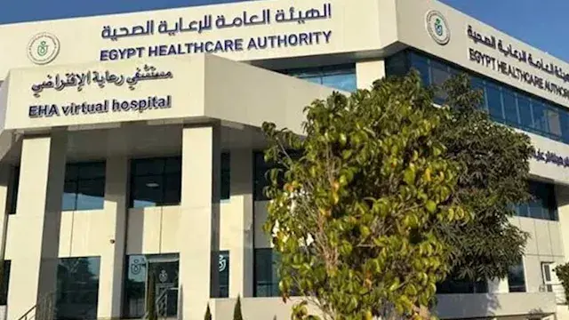 في الإسماعيلية.. تفاصيل أول مستشفى افتراضي وهذه أبرز خدماته