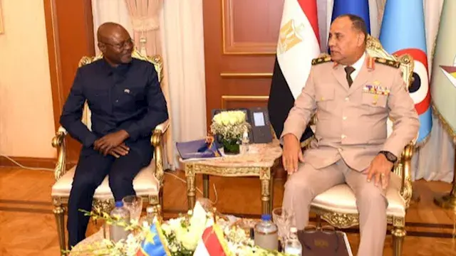 صور.. وزير الدفاع يبحث مع نظير...