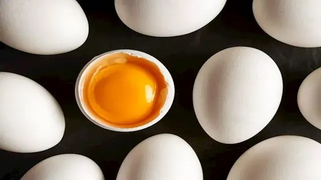 أغرب 7 أشياء يسمح بمرورها في ا...
