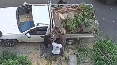 النيابة تطلب تحريات اتهام 4 أش...
