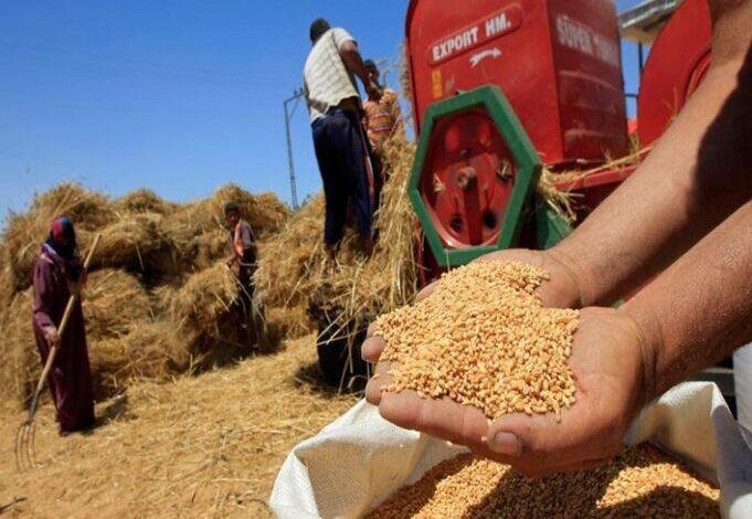 الزراعة تضبط شركة وهمية تروج ل...