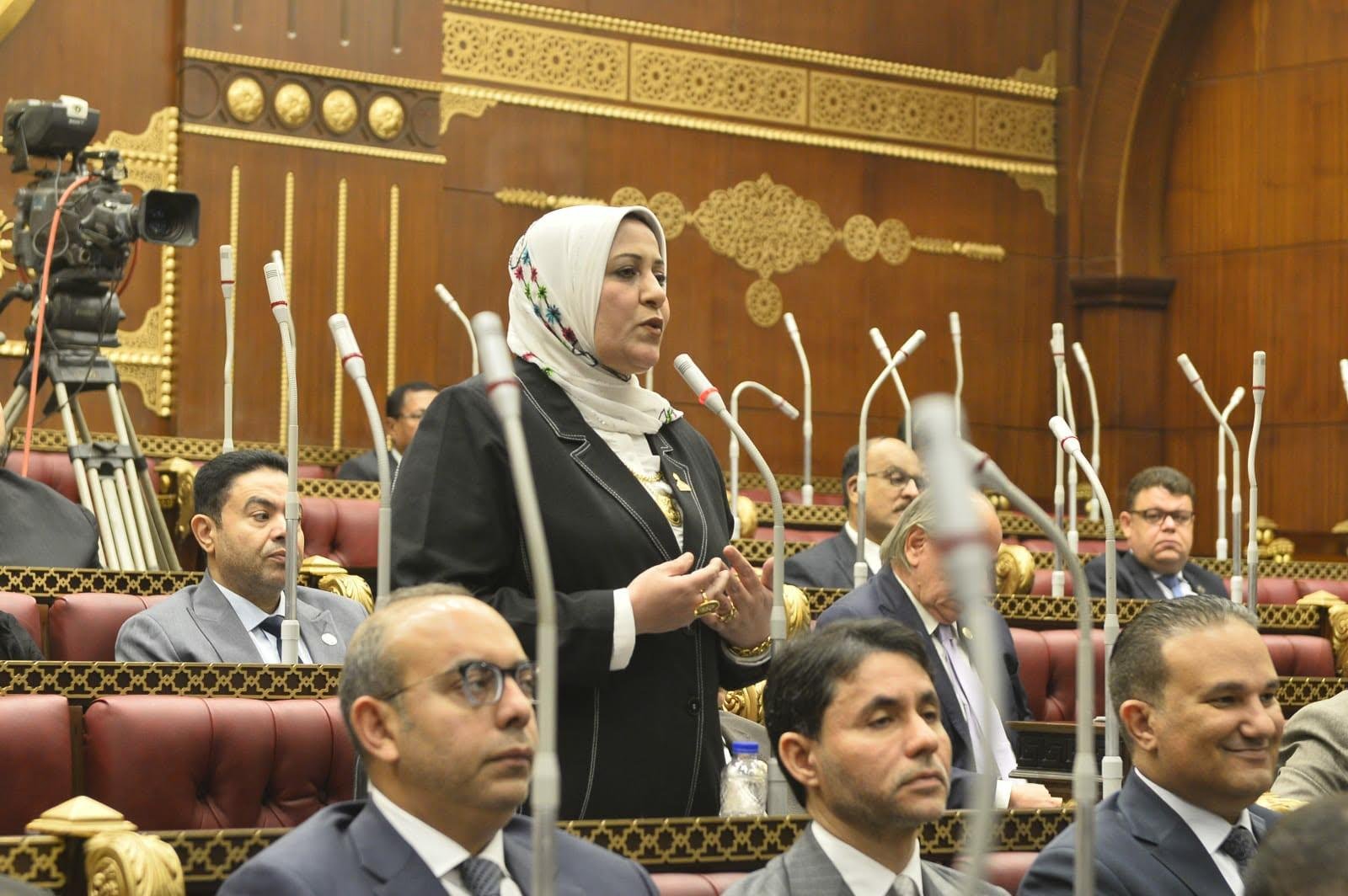 النائبة غادة الضبع: خطة التنمي...