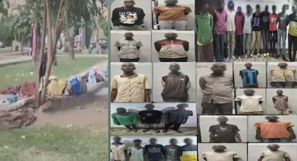 لا يحملون تصاريح إقامة.. ضبط 33 أجنبيا اتخذوا حدائق أكتوبر مقرا لإقامتهم