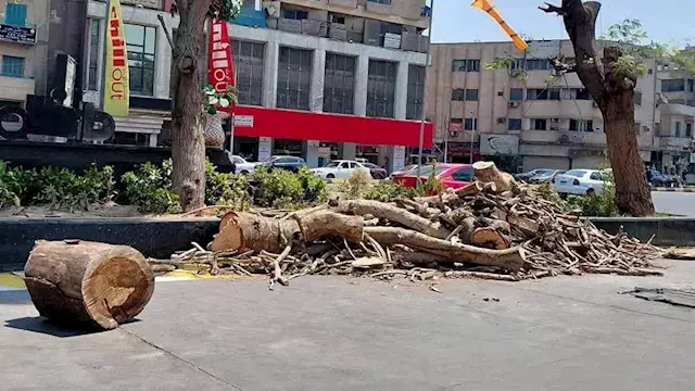 لا تُزال عشوائيًا.. رئيس حي ال...
