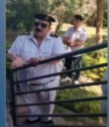الداخلية تكشف حقيقة إزالة أشجا...