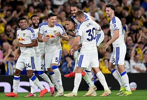 نيوكاسل ينهار برباعية أمام ليدز يونايتد في الدوري الإنجليزي