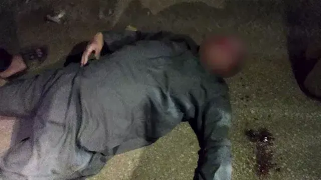 بينهم مُسن حالته خطيرة.. إصابة 3 أشخاص في حداث تصادم بالمنوفية