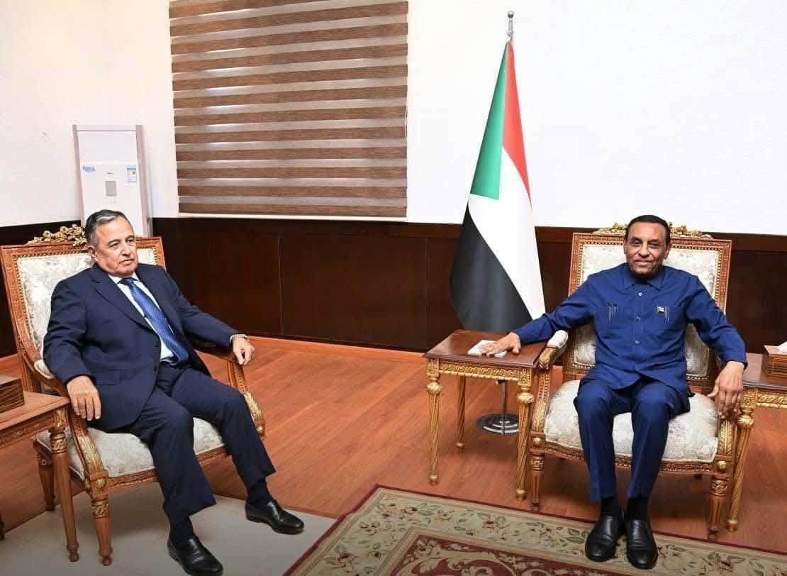 نبيل فهمي يبحث مع كامل إدريس سبل دعم جهود السلام في السودان