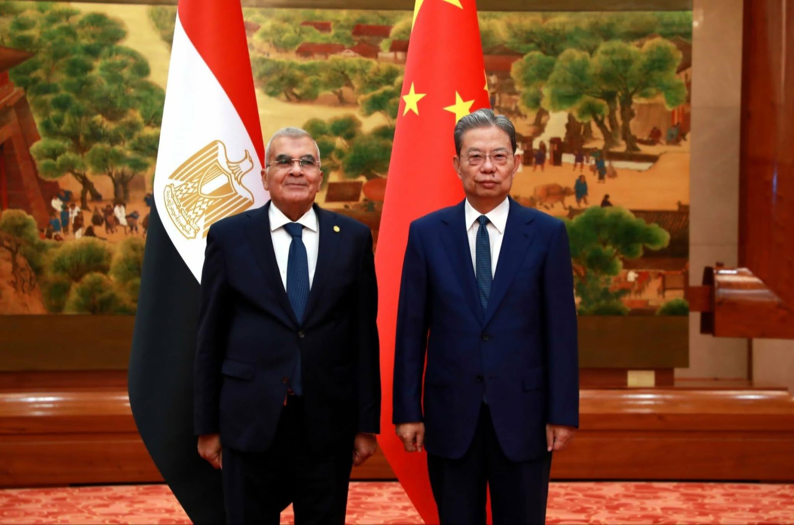 رئيس مجلس الشيوخ يلتقي قيادات...