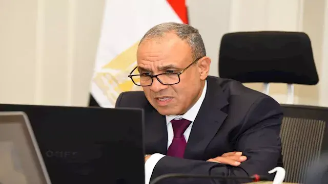 وزير الخارجية: مصر تواصل جهوده...